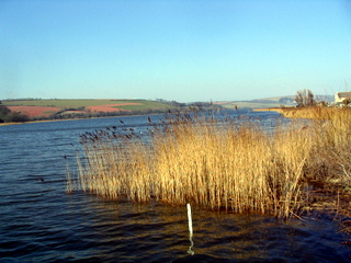 2006-03-19-15-20-02_strete_slapton-007_strete_slapton_torcross.jpg 2006-03-19-15-20-02_strete_slapton-007_strete_slapton_torcross.jpg strete_slapton_torcross