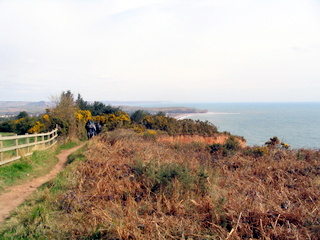 2006-03-22-12-27-27_budleigh_salterton-007_daltich_budleigh_yettington.jpg 2006-03-22-12-27-27_budleigh_salterton-007_daltich_budleigh_yettington.jpg daltich_budleigh_yettington