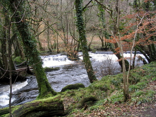 2006-03-26-11-06-19_chagford_teign-001_chagford_fingle.jpg 2006-03-26-11-06-19_chagford_teign-001_chagford_fingle.jpg chagford_fingle