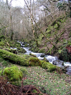 2006-04-02-11-12-16_horner_stoke_pero_crawter-002_horner_stoke_pero_luckott.jpg  horner_stoke_pero_luckott 