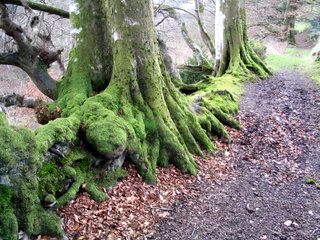 2006-04-02-14-17-29_horner_stoke_pero_crawter-009_horner_stoke_pero_luckott.jpg  horner_stoke_pero_luckott 