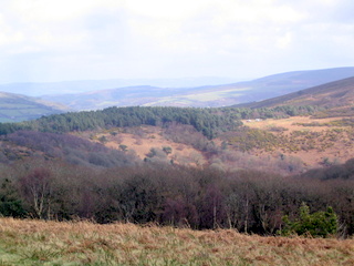 2006-04-02-14-52-28_horner_stoke_pero_crawter-014_horner_stoke_pero_luckott.jpg  horner_stoke_pero_luckott 