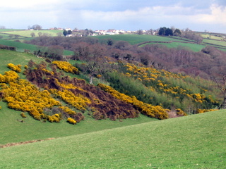 2006-04-19-13-56-05_hittesleigh_mill_drewsteignton_hittisleighmill.jpg 2006-04-19-13-56-05_hittesleigh_mill_drewsteignton_hittisleighmill.jpg drewsteignton_hittisleighmill