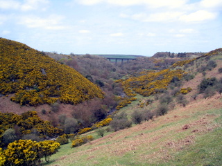 2006-04-26-14-18-21_okehampton_meldon-008_okehampton_meldon_reservoir.jpg 2006-04-26-14-18-21_okehampton_meldon-008_okehampton_meldon_reservoir.jpg okehampton_meldon_reservoir