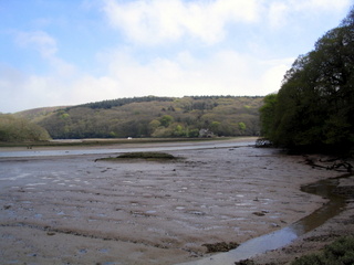 2006-05-03-14-33-21_flete-estate-009_holberton_flete_erme_mouth.jpg  holberton_flete_erme_mouth 