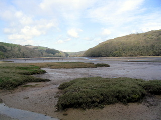 2006-05-03-14-33-26_flete-estate-010_holberton_flete_erme_mouth.jpg  holberton_flete_erme_mouth 