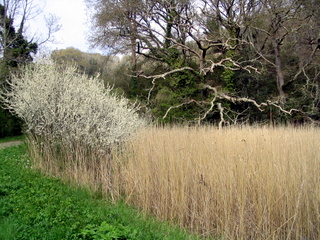 2006-05-03-14-48-51_flete-estate-011_holberton_flete_erme_mouth.jpg  holberton_flete_erme_mouth 
