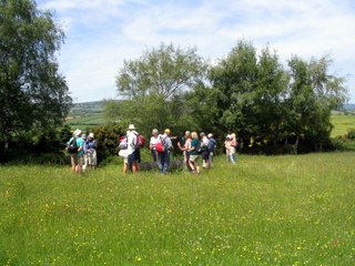 2006-06-04-13-19-45_ilsington_ramshorn_down-002_ilsington_liverton_ramshorn_sigford.jpg 2006-06-04-13-19-45_ilsington_ramshorn_down-002_ilsington_liverton_ramshorn_sigford.jpg ilsington_liverton_ramshorn_sigford