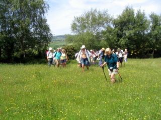 2006-06-04-13-19-54_ilsington_ramshorn_down-003_ilsington_liverton_ramshorn_sigford.jpg 2006-06-04-13-19-54_ilsington_ramshorn_down-003_ilsington_liverton_ramshorn_sigford.jpg ilsington_liverton_ramshorn_sigford