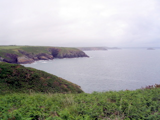 2006-06-19-11-23-25_pembroke_june_2006-178_pembroke_coast_st_davids_newgale.jpg 2006-06-19-11-23-25_pembroke_june_2006-178_pembroke_coast_st_davids_newgale.jpg pembroke_coast_st_davids_newgale