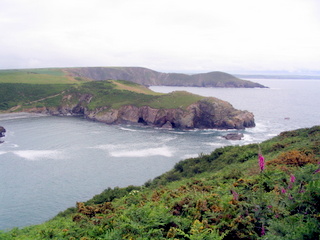 2006-06-19-12-47-40_pembroke_june_2006-191_pembroke_coast_st_davids_newgale.jpg 2006-06-19-12-47-40_pembroke_june_2006-191_pembroke_coast_st_davids_newgale.jpg pembroke_coast_st_davids_newgale