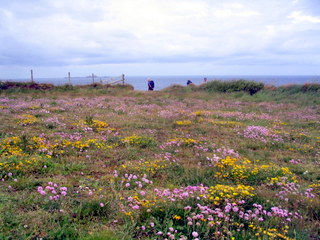 2006-06-20-11-32-17_pembroke_june_2006-214_pembroke_coast_whitesands_bay_st_davids.jpg 2006-06-20-11-32-17_pembroke_june_2006-214_pembroke_coast_whitesands_bay_st_davids.jpg pembroke_coast_whitesands_bay_st_davids