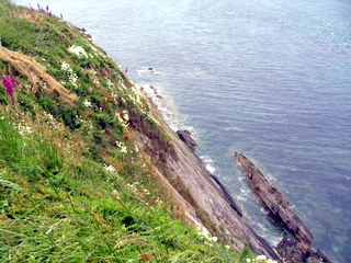 2006-06-20-11-51-43_pembroke_june_2006-219_pembroke_coast_whitesands_bay_st_davids.jpg 2006-06-20-11-51-43_pembroke_june_2006-219_pembroke_coast_whitesands_bay_st_davids.jpg pembroke_coast_whitesands_bay_st_davids