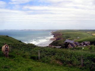 2006-06-21-12-42-21_pembroke_june_2006-071_pembroke_coast_newgale_broad_haven.jpg 2006-06-21-12-42-21_pembroke_june_2006-071_pembroke_coast_newgale_broad_haven.jpg pembroke_coast_newgale_broad_haven