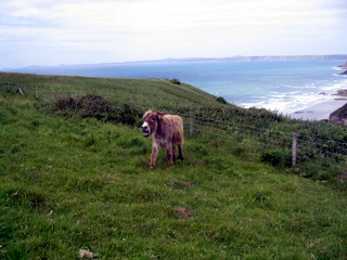 2006-06-21-12-42-27_pembroke_june_2006-072_pembroke_coast_newgale_broad_haven.jpg 2006-06-21-12-42-27_pembroke_june_2006-072_pembroke_coast_newgale_broad_haven.jpg pembroke_coast_newgale_broad_haven