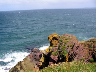 2006-06-22-10-34-26_pembroke_june_2006-105_pembroke_coast_st_brides_marloes_dale.jpg 2006-06-22-10-34-26_pembroke_june_2006-105_pembroke_coast_st_brides_marloes_dale.jpg pembroke_coast_st_brides_marloes_dale