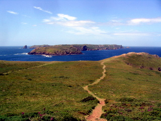 2006-06-22-12-31-33_pembroke_june_2006-123_pembroke_coast_st_brides_marloes_dale.jpg 2006-06-22-12-31-33_pembroke_june_2006-123_pembroke_coast_st_brides_marloes_dale.jpg pembroke_coast_st_brides_marloes_dale