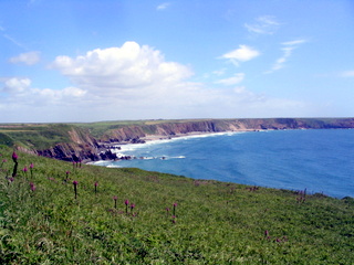 2006-06-22-14-06-23_pembroke_june_2006-137_pembroke_coast_st_brides_marloes_dale.jpg 2006-06-22-14-06-23_pembroke_june_2006-137_pembroke_coast_st_brides_marloes_dale.jpg pembroke_coast_st_brides_marloes_dale