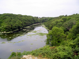 2006-06-23-11-39-26_pembroke_june_2006-152_pembroke_coast_bosherston_manorbier.jpg 2006-06-23-11-39-26_pembroke_june_2006-152_pembroke_coast_bosherston_manorbier.jpg pembroke_coast_bosherston_manorbier
