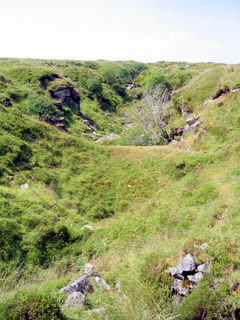 2006-07-02-11-42-25_dartmoor_july_2006-004_hexworthy_childestomb.jpg 2006-07-02-11-42-25_dartmoor_july_2006-004_hexworthy_childestomb.jpg hexworthy_childestomb