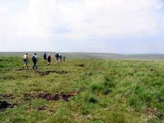 2006-07-02-12-27-24_dartmoor_july_2006-006_hexworthy_childestomb.jpg 2006-07-02-12-27-24_dartmoor_july_2006-006_hexworthy_childestomb.jpg hexworthy_childestomb