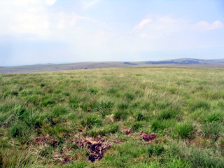 2006-07-02-12-27-28_dartmoor_july_2006-007_hexworthy_childestomb.jpg 2006-07-02-12-27-28_dartmoor_july_2006-007_hexworthy_childestomb.jpg hexworthy_childestomb