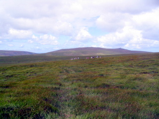2006-08-06-12-53-43_okehampton_moor_ducks_pool-006_okehampton_moor_cranmere_pool.jpg  okehampton_moor_cranmere_pool 