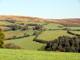 2006-09-21-10-45-19_p1000067_bonehill_hameldown_grimspound.jpg 2006-09-21-10-45-19_p1000067_bonehill_hameldown_grimspound.jpg bonehill_hameldown_grimspound