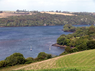 2006-10-01-15-22-55_p1000126_dittisham_cornworthy_captan.jpg 2006-10-01-15-22-55_p1000126_dittisham_cornworthy_captan.jpg dittisham_cornworthy_captan