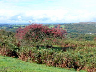 2006-10-04-12-26-34_p1000149_whiteworks_routrundle_peekhill.jpg 2006-10-04-12-26-34_p1000149_whiteworks_routrundle_peekhill.jpg whiteworks_routrundle_peekhill