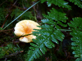 2006-10-11-12-17-57_p1000204_tottiford_rowdon_hole_clampitt.jpg 2006-10-11-12-17-57_p1000204_tottiford_rowdon_hole_clampitt.jpg tottiford_rowdon_hole_clampitt