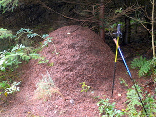 2006-10-11-14-55-36_p1000211_tottiford_rowdon_hole_clampitt.jpg 2006-10-11-14-55-36_p1000211_tottiford_rowdon_hole_clampitt.jpg tottiford_rowdon_hole_clampitt