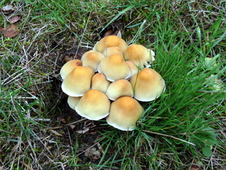 2006-10-11-15-19-25_p1000213_tottiford_rowdon_hole_clampitt.jpg 2006-10-11-15-19-25_p1000213_tottiford_rowdon_hole_clampitt.jpg tottiford_rowdon_hole_clampitt