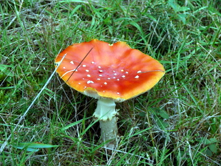 2006-10-11-15-21-03_p1000214_tottiford_rowdon_hole_clampitt.jpg 2006-10-11-15-21-03_p1000214_tottiford_rowdon_hole_clampitt.jpg tottiford_rowdon_hole_clampitt