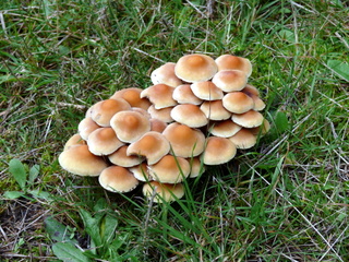 2006-10-11-15-21-49_p1000216_tottiford_rowdon_hole_clampitt.jpg 2006-10-11-15-21-49_p1000216_tottiford_rowdon_hole_clampitt.jpg tottiford_rowdon_hole_clampitt