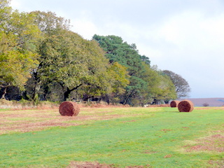 2006-10-18-12-44-18_p1000222_horrabridge_whitchurch_pew_tor.jpg  Horrabridge_Whitchurch_Pew_Tor 