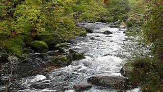 2006-10-29-11-39-33_p1000248_dartmeet_sherwell_ponsworthy.jpg  dartmeet_sherwell_ponsworthy 
