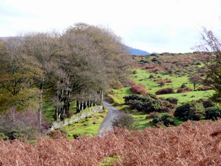2006-10-29-13-02-11_p1000265_dartmeet_sherwell_ponsworthy.jpg  dartmeet_sherwell_ponsworthy 