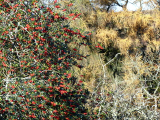 2006-11-19-11-23-46_p1000952_batworthy_throwleigh_gidleigh.jpg 2006-11-19-11-23-46_p1000952_batworthy_throwleigh_gidleigh.jpg Batworthy_Throwleigh_Gidleigh