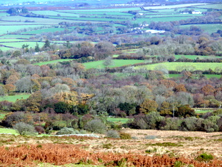 2006-11-19-13-12-25_p1000977_batworthy_throwleigh_gidleigh.jpg 2006-11-19-13-12-25_p1000977_batworthy_throwleigh_gidleigh.jpg Batworthy_Throwleigh_Gidleigh