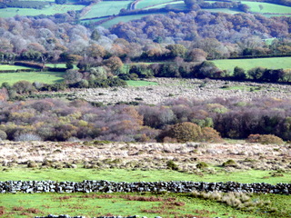 2006-11-19-13-12-43_p1000978_batworthy_throwleigh_gidleigh.jpg 2006-11-19-13-12-43_p1000978_batworthy_throwleigh_gidleigh.jpg Batworthy_Throwleigh_Gidleigh