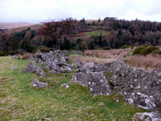 2006-11-19-16-19-58_p1000996_batworthy_throwleigh_gidleigh.jpg 2006-11-19-16-19-58_p1000996_batworthy_throwleigh_gidleigh.jpg Batworthy_Throwleigh_Gidleigh