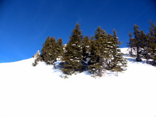 2010-01-05-12-25-09_p1010072_austria_zell_am_ziller_zillertal_arena_gerlos_konigsleiten_2010-01-05.jpg  Austria_Zell_am_Ziller_Zillertal_Arena_Gerlos_Konigsleiten_2010-01-05 
