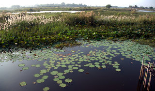 2010-12-13-02-00-37_p1030163_2010-12-13-the-river-at-kumphawapi_1.jpg 2010-12-13-02-00-37_p1030163_2010-12-13-the-river-at-kumphawapi_1.jpg 2010-12-13 The river at Kumphawapi_1