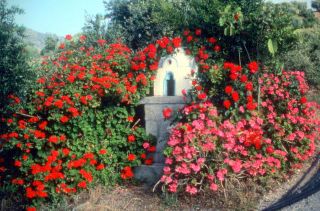 Crete image 93-5-3_14.jpg