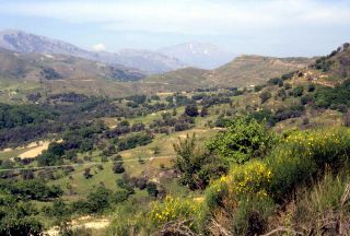Crete image 93-5-5_00.jpg