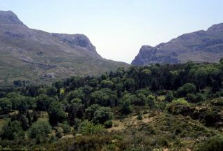 Crete image 93-5-5_01.jpg