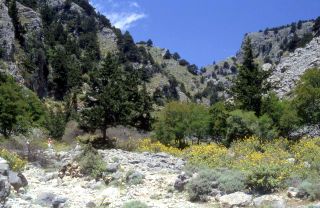 Crete image 93-5-6_18.jpg