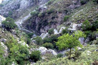 Crete image 93-5-6_24.jpg