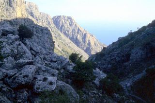 Crete image 93-5-6_25.jpg
